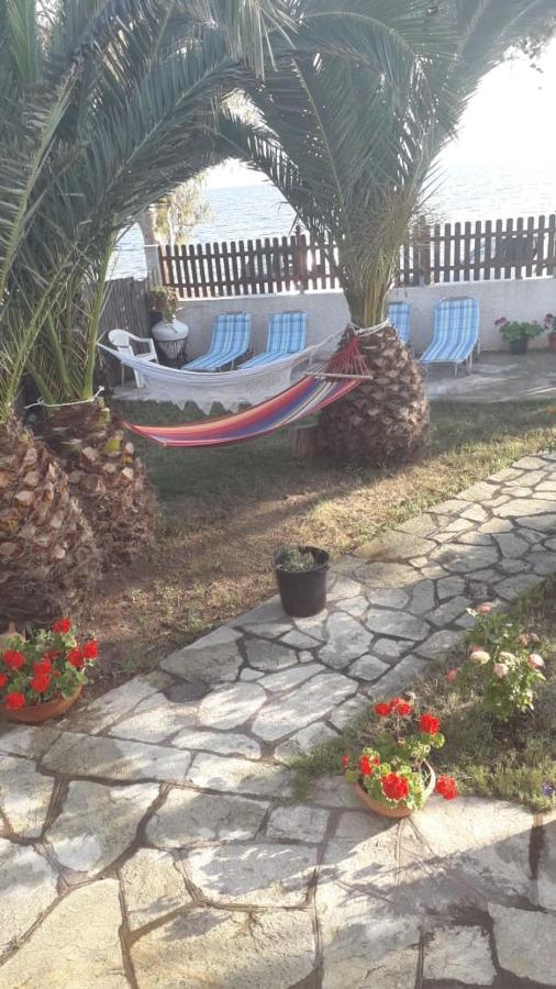 Aqua Viva Holiday home Kato Lekhonia