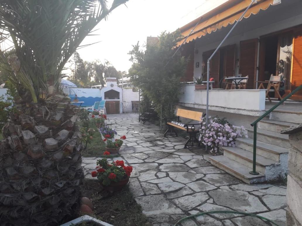 Aqua Viva Holiday home *