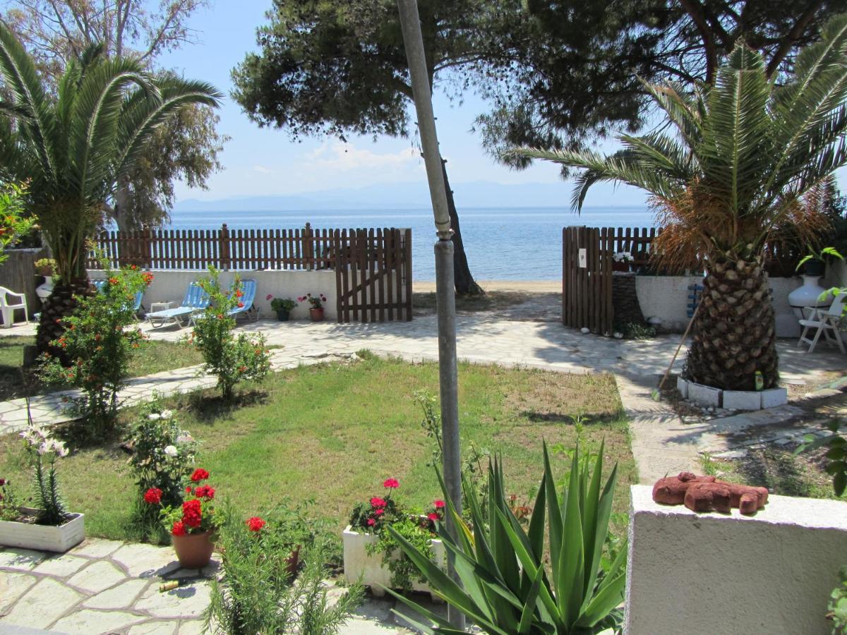 Aqua Viva Holiday home