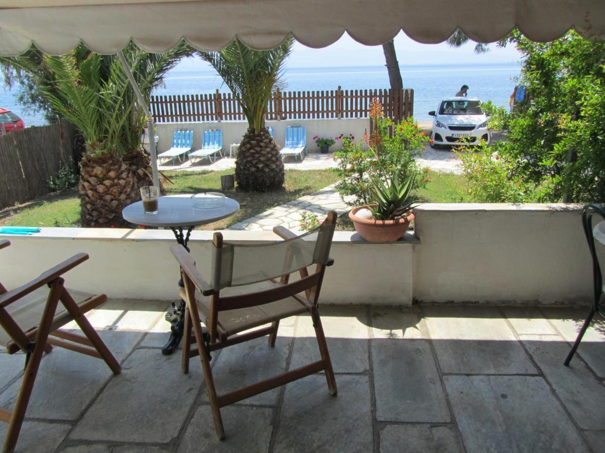 Aqua Viva Holiday home