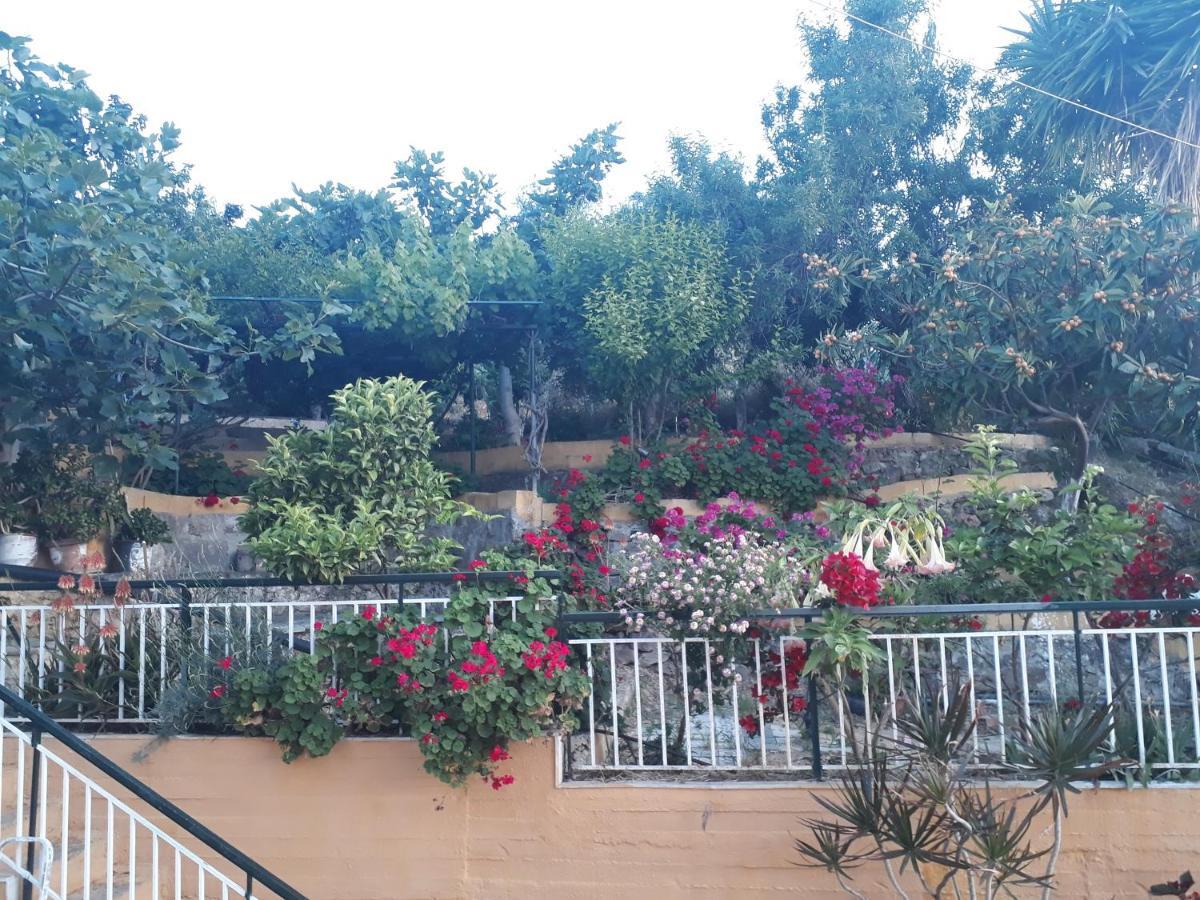 Trizinia View Garden