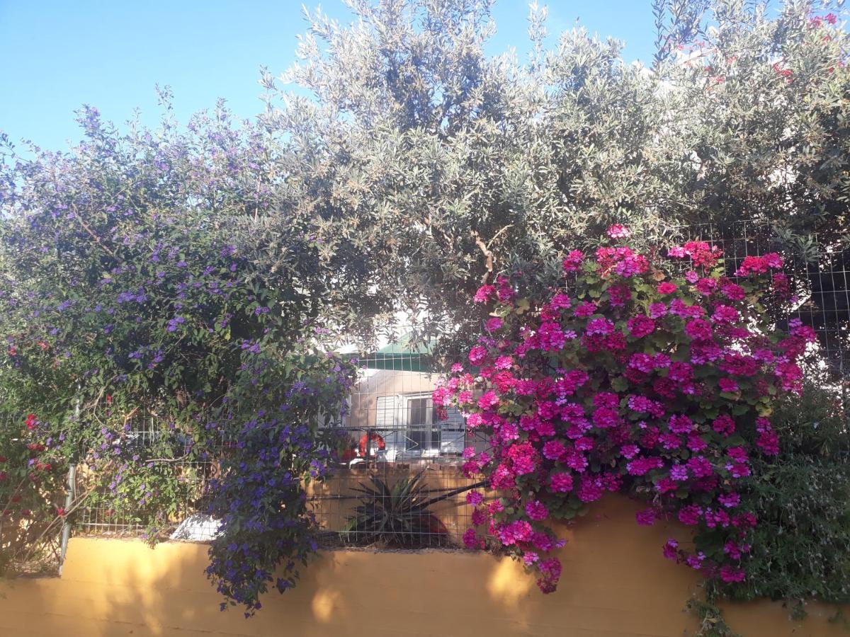 Trizinia View Garden Holiday home *