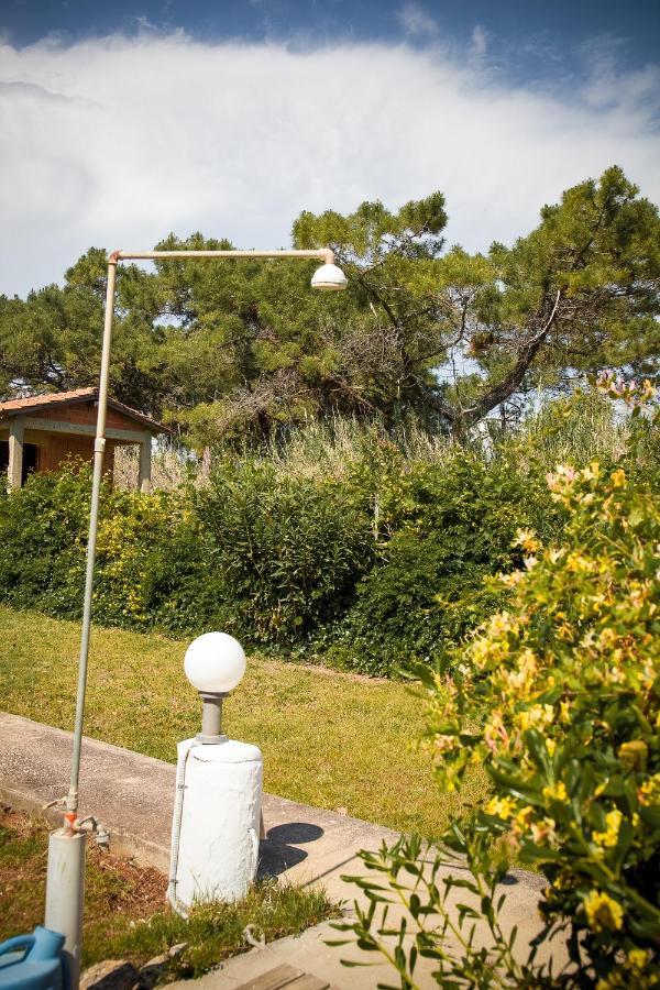 Holiday home Estate Irene Alexandroupoli