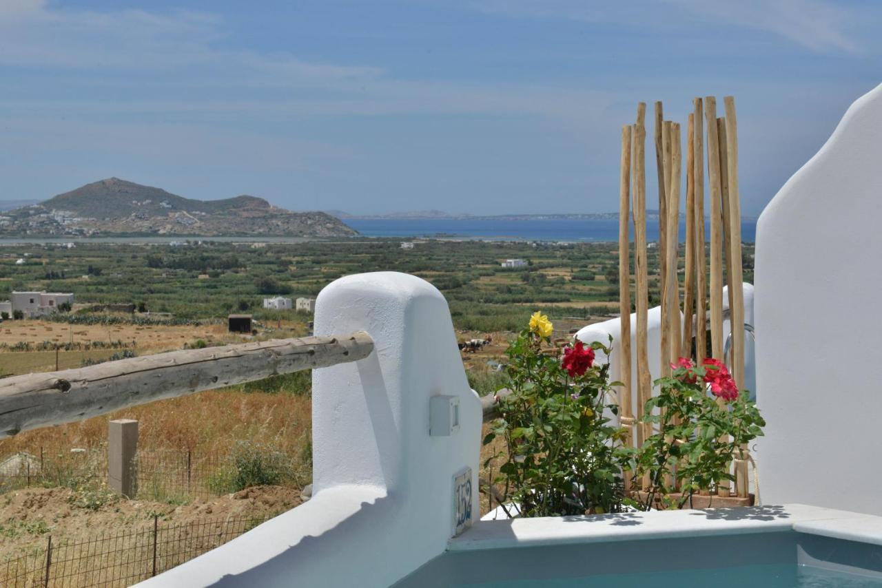 Kleio Naxian Album With Private Pool * Glinado Naxos