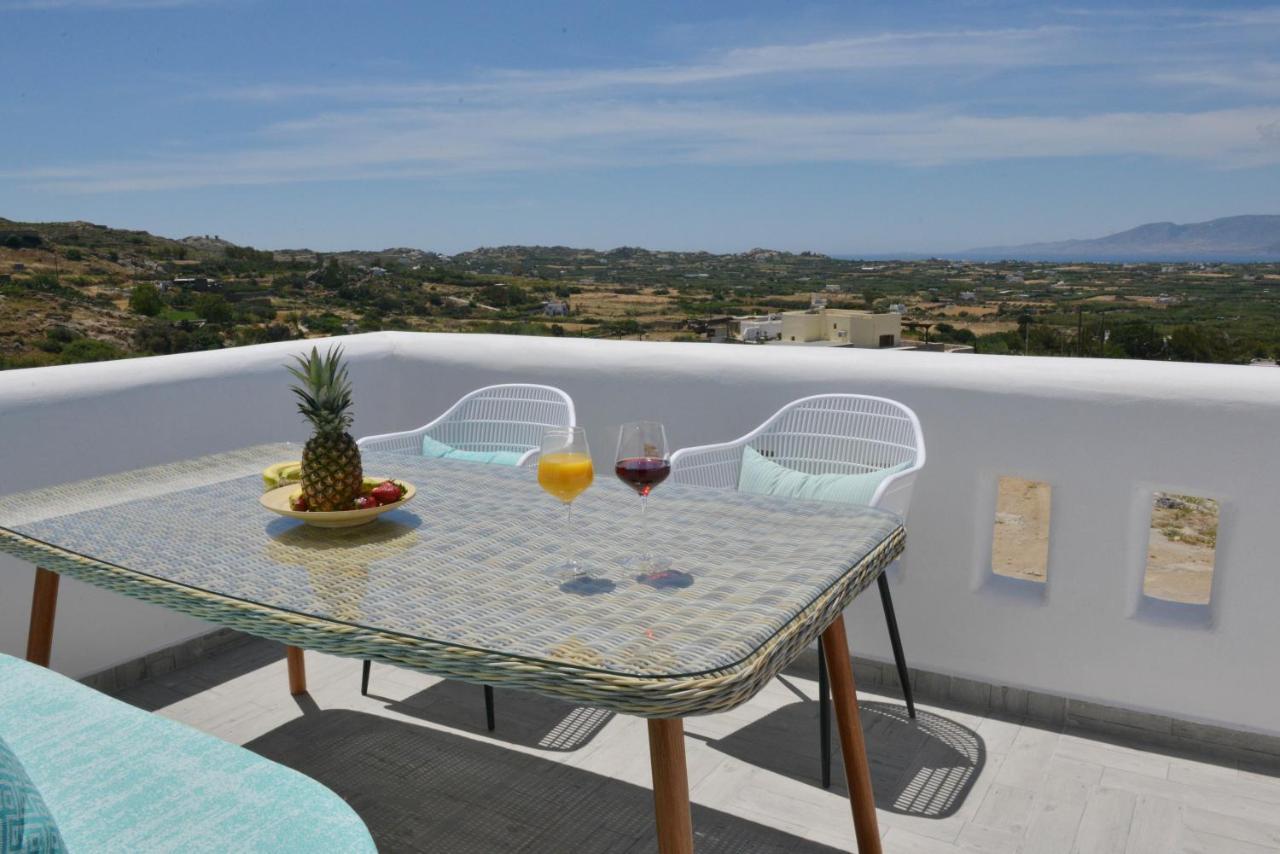 Villa Kleio Naxian Album With Private Pool *