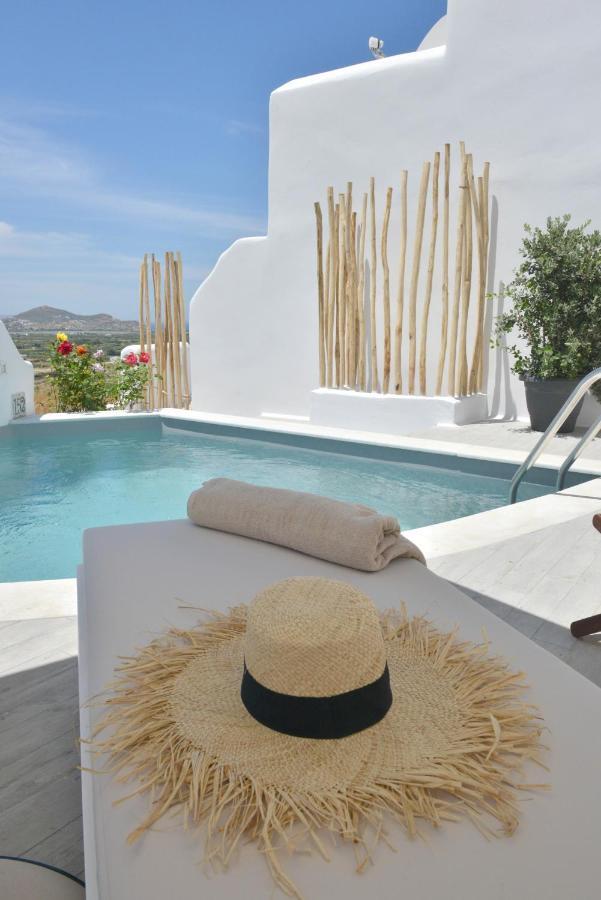Villa Kleio Naxian Album With Private Pool *