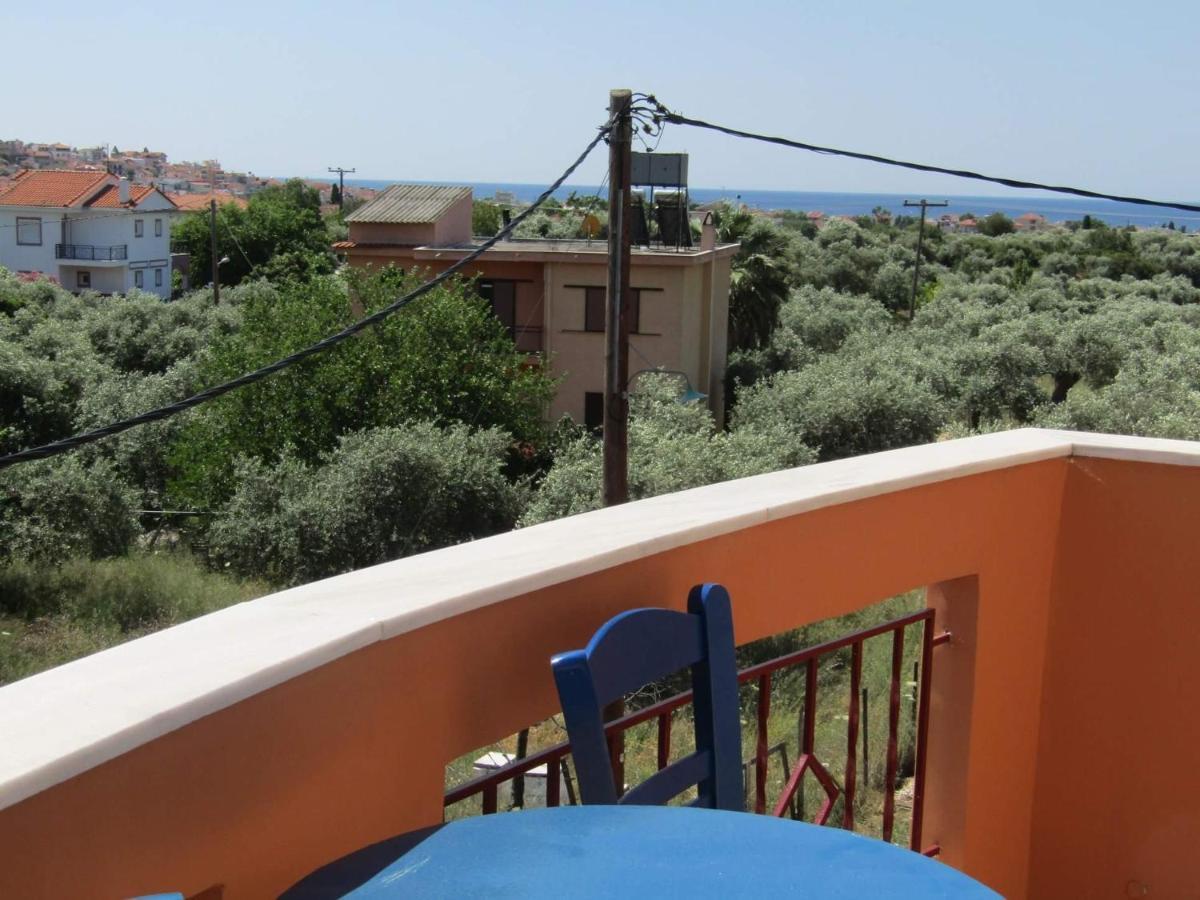 Olive Grove House Apartment *
