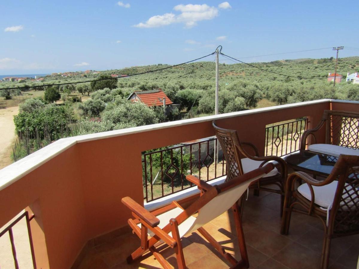 Apartment Olive Grove House