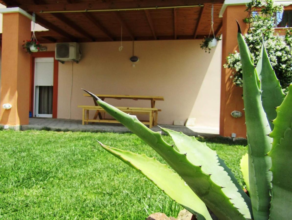 Olive Grove House Apartment Limenaria (Thasos)