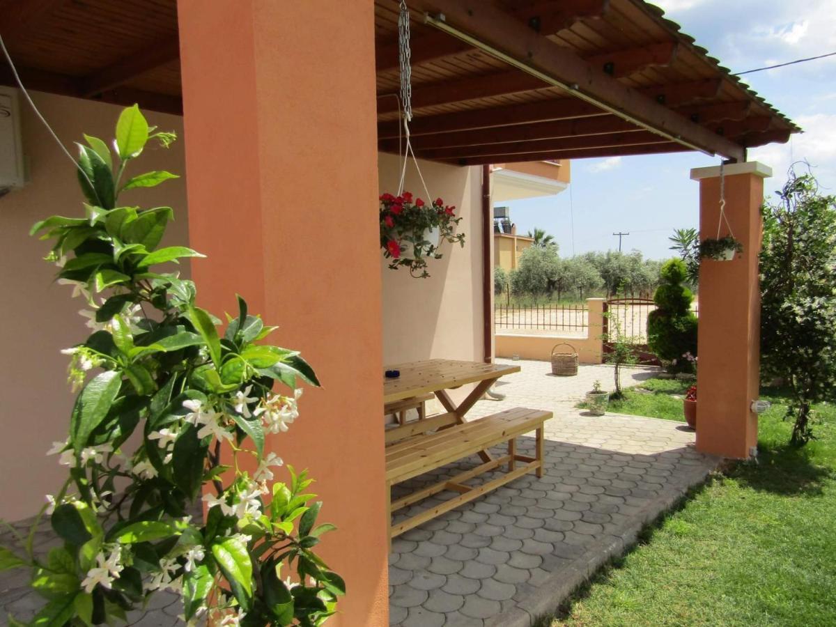 Olive Grove House Apartment *
