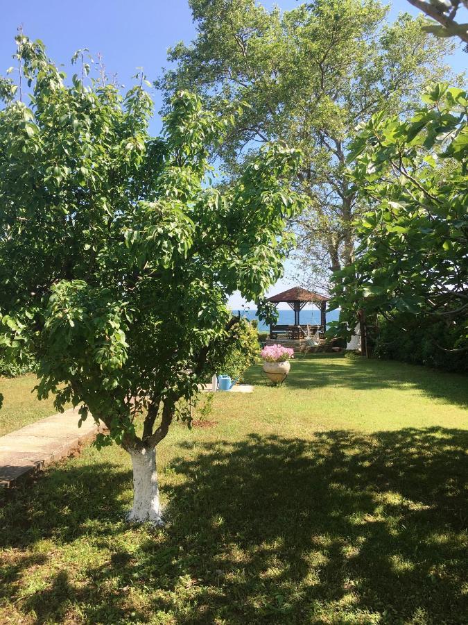 Estate Irene * Alexandroupoli