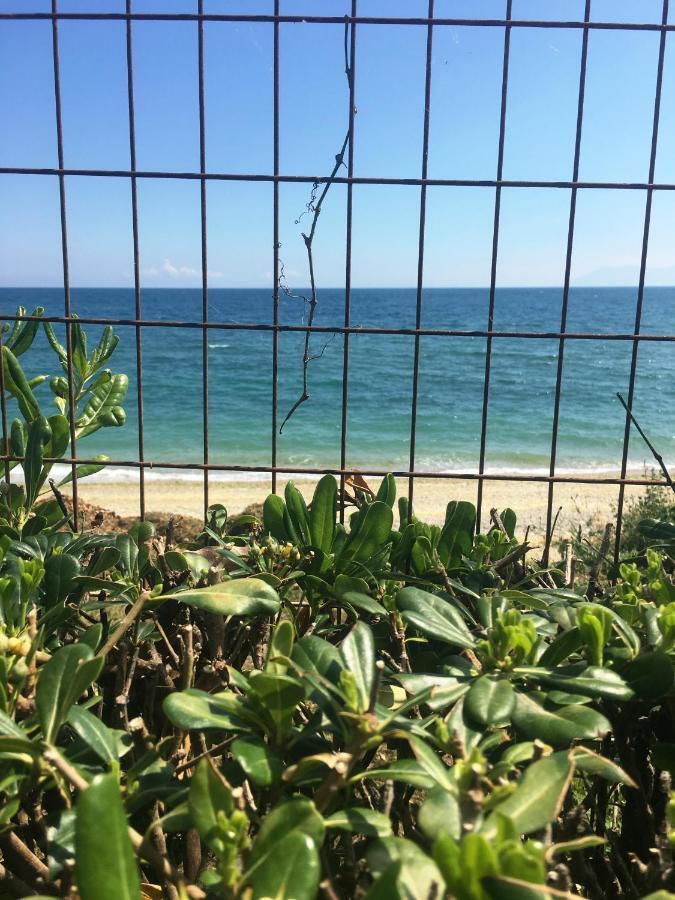 Estate Irene Alexandroupoli