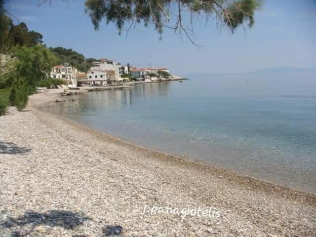 Homestay Abeas Samos Antonis 3