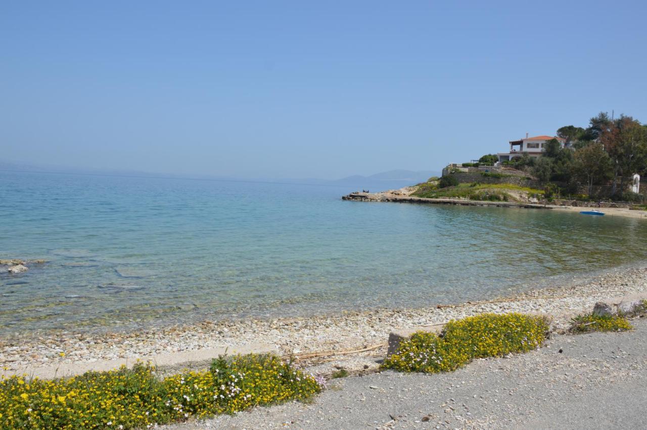 Holiday home Epipleon