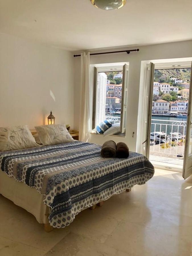 Hydra's View