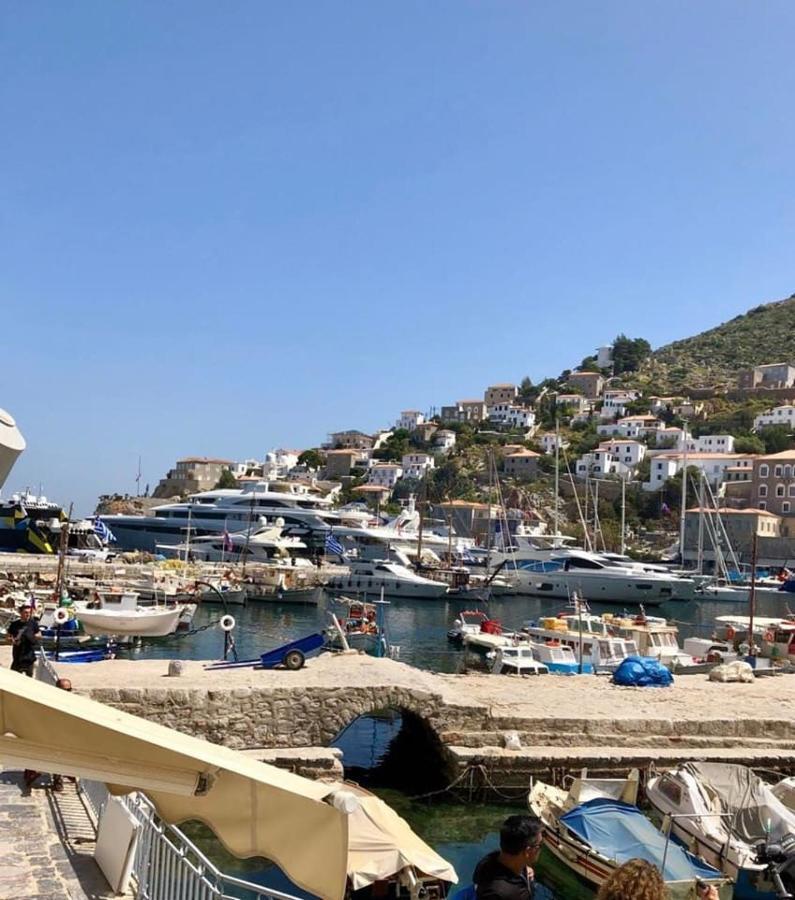 Hydra's View