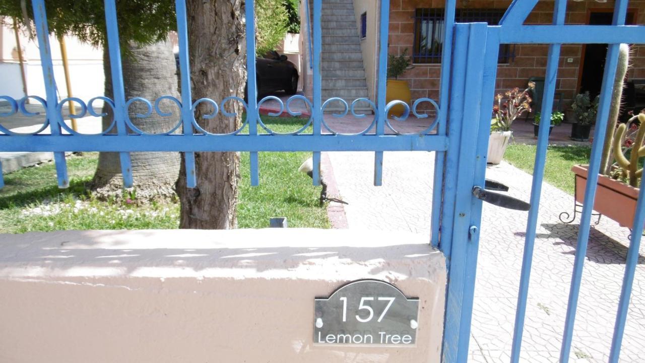 Lemon Tree Anavyssos