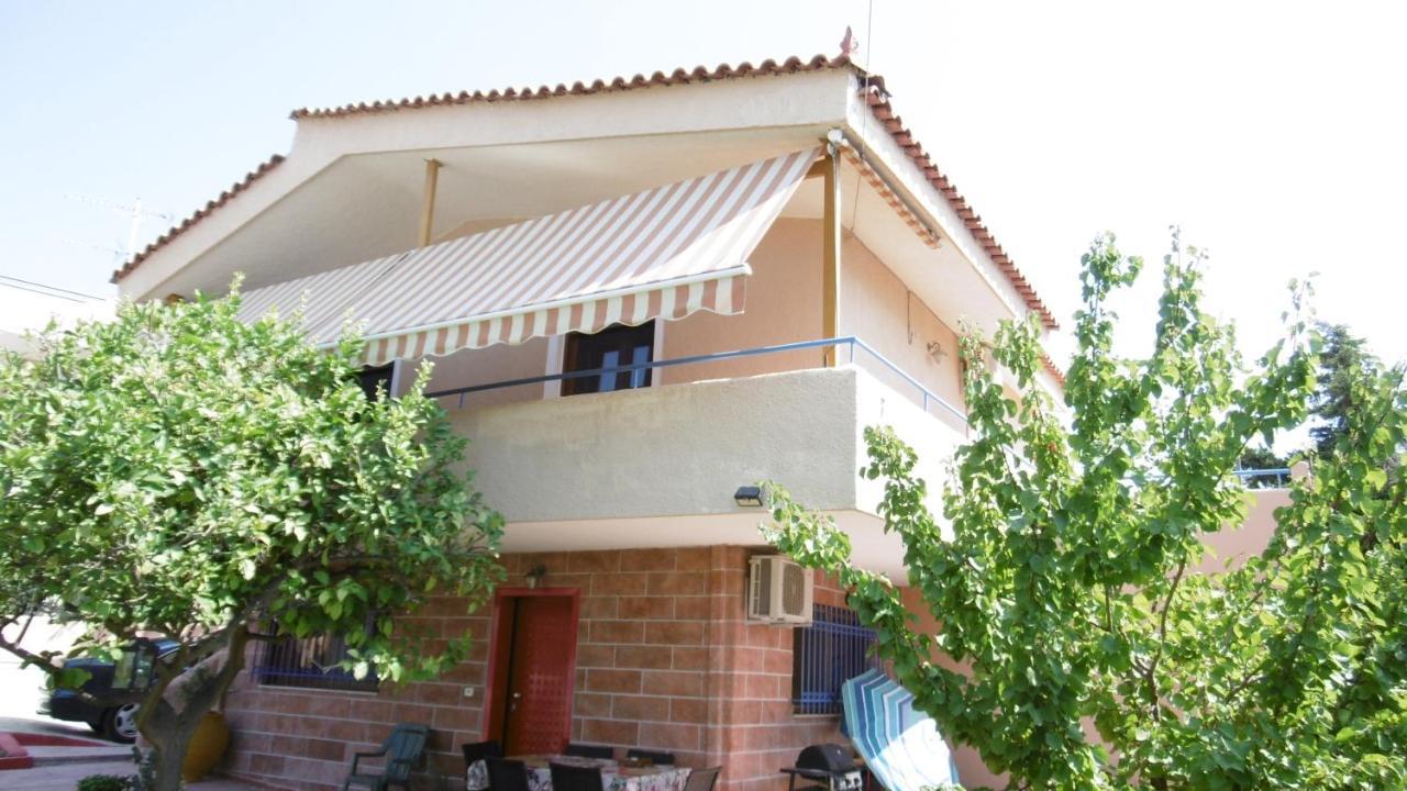 Lemon Tree