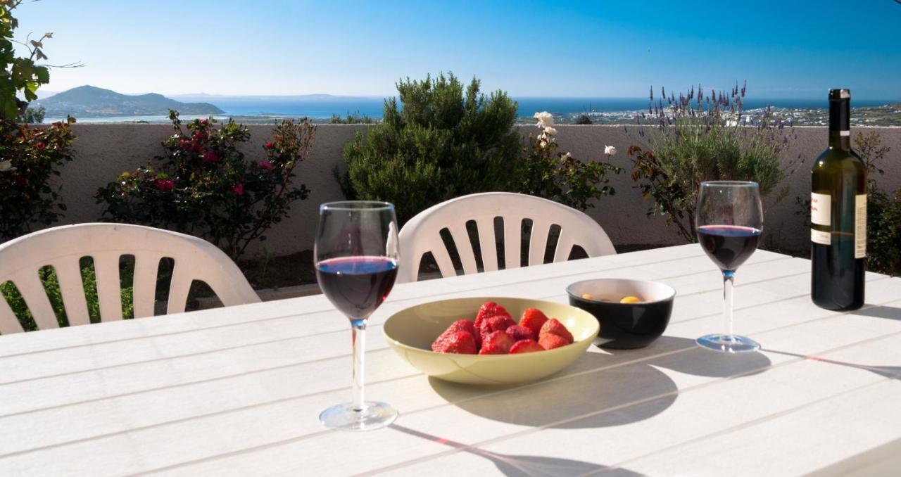 Apartment Naxos View