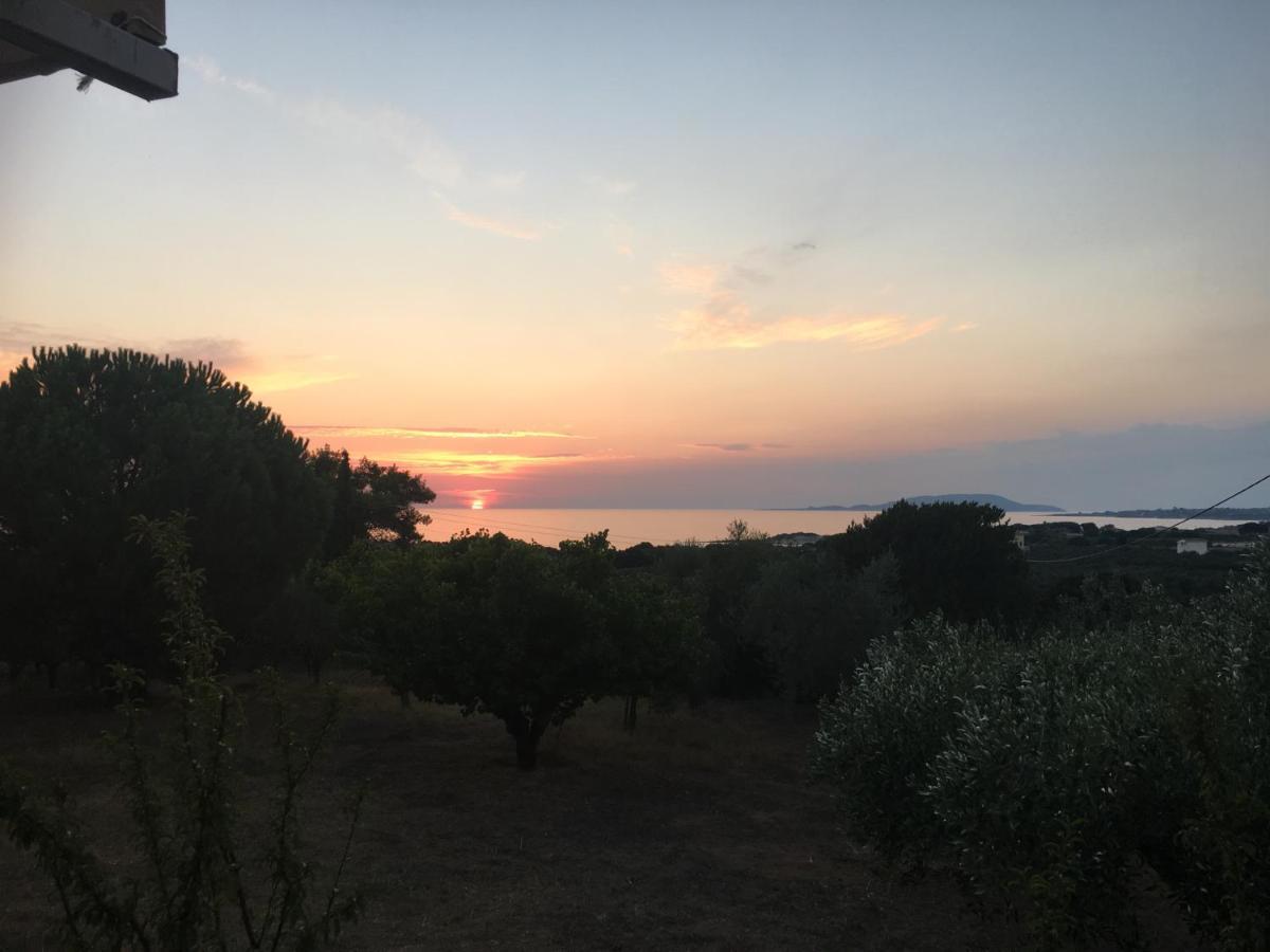 Aliki * Petrochori (Peloponnese)