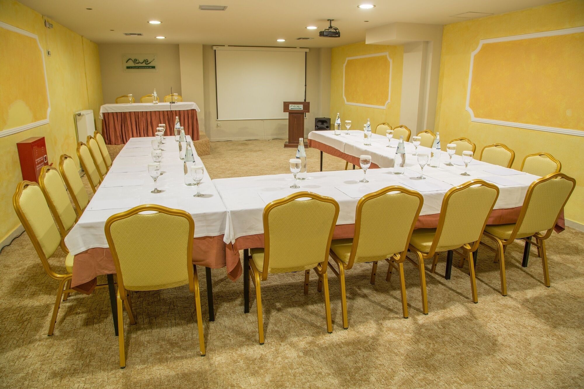 Domotel Neve Mountain 4*