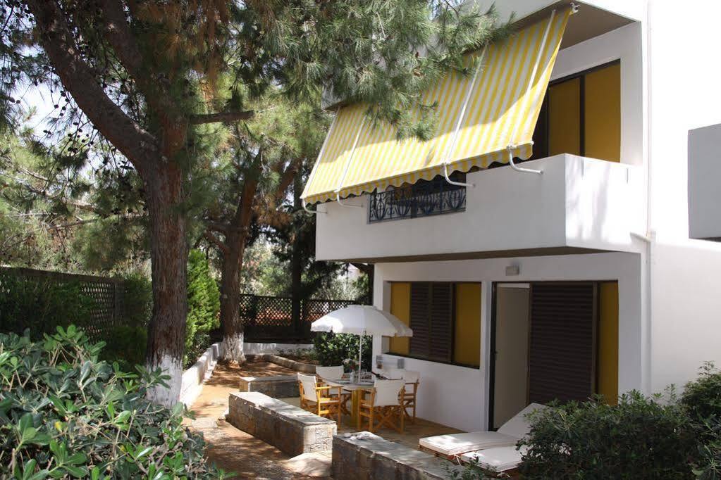 Creta Solaris