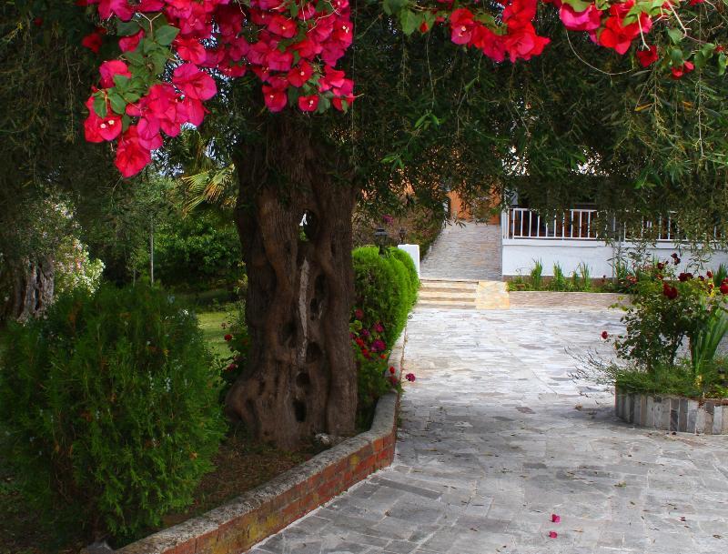 Tina 2* Limni (Corfu)