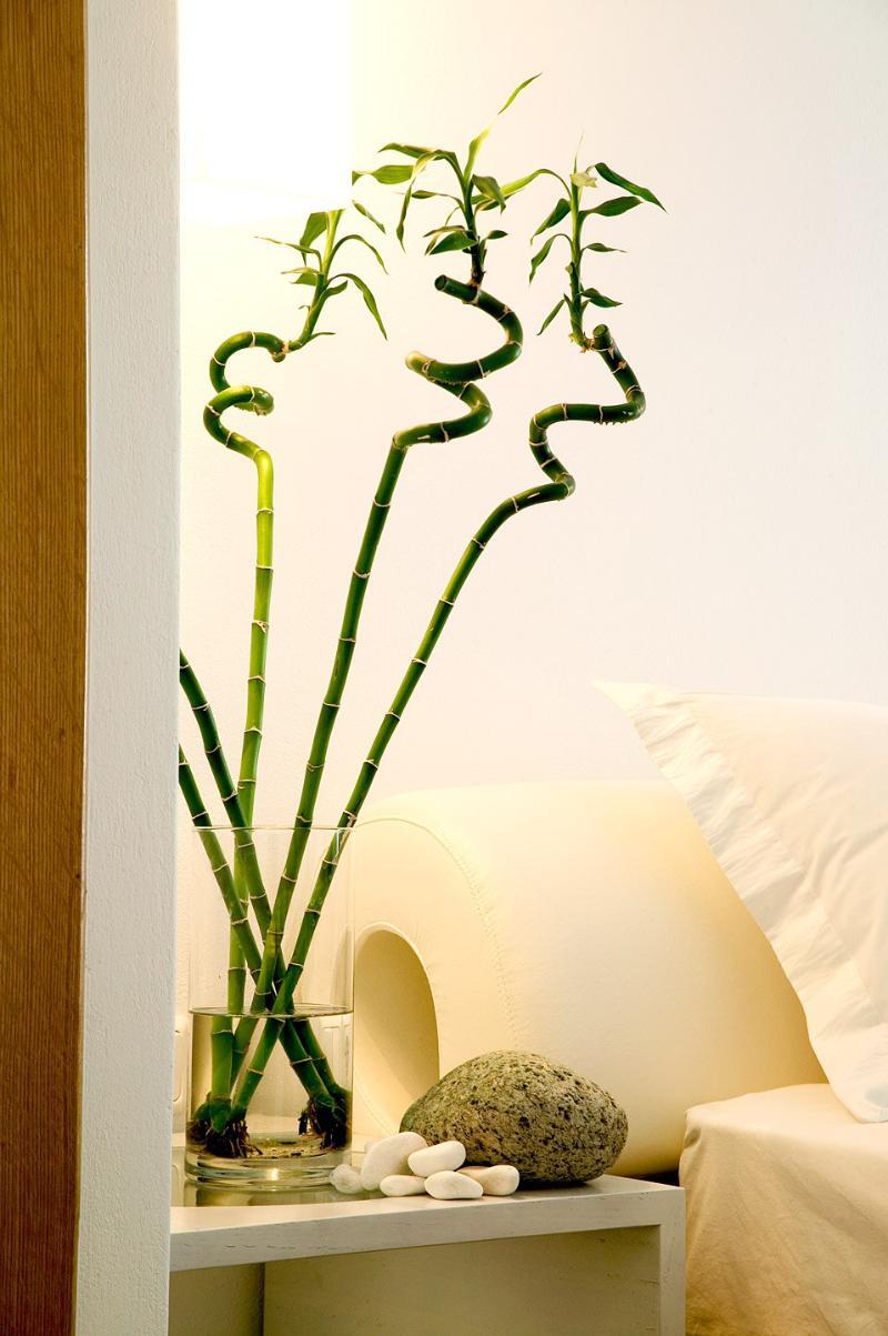 Hotel Petasos & - Small Luxury Of The World