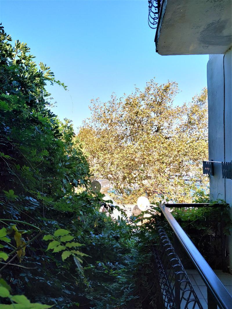 Guest house Argo Skiathos Town
