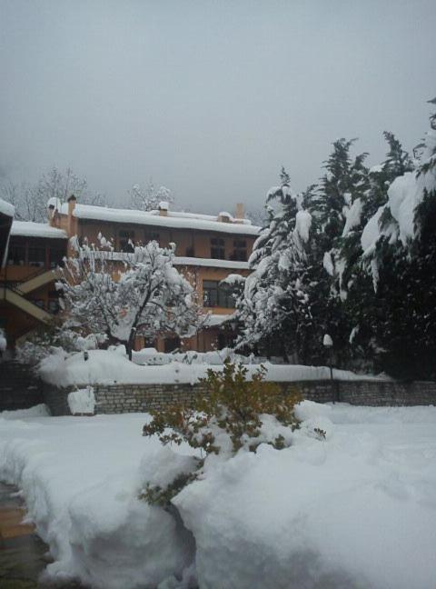 Papanastasiou Elati (Trikala)