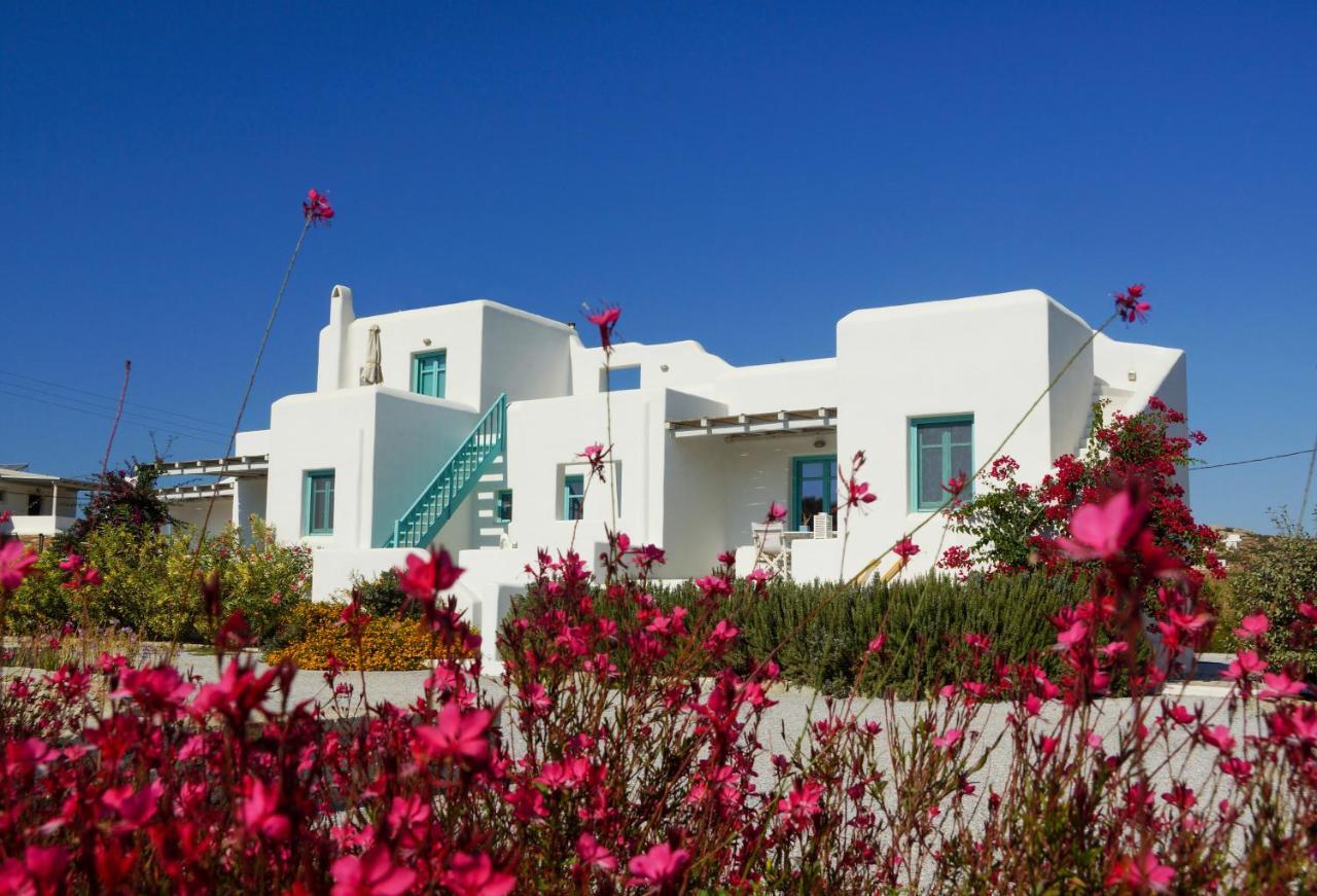 Apartment Ploes Seaside Plaka (Naxos)