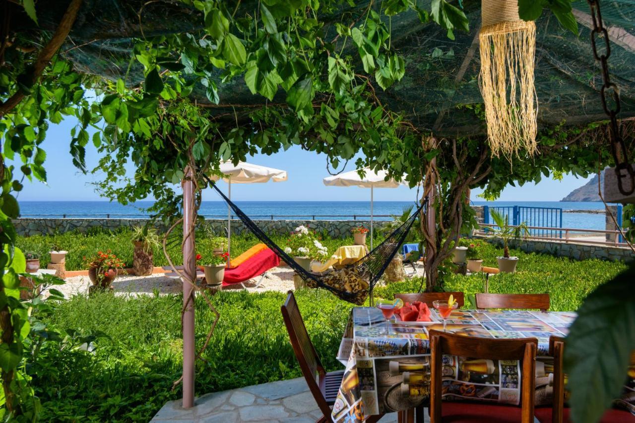 Seaside Studios Holiday home