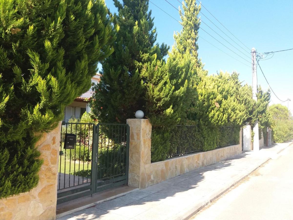 Villa Beautiful Summer In Chalkoutsi Khalkoutsion