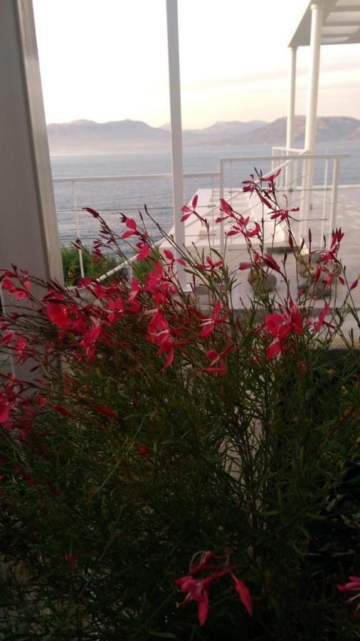 Epipleon Holiday home *