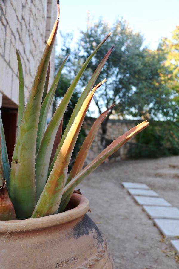 Pyrgos Ralli Estate Apartment *
