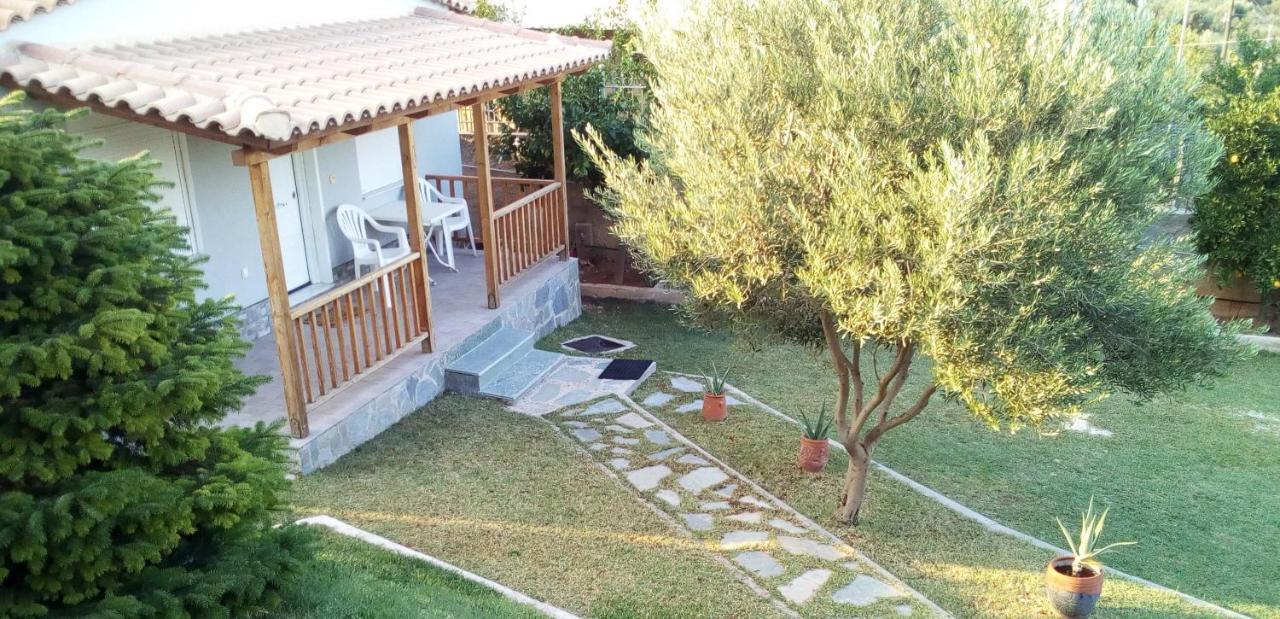 Garden House-free Transfer From Airport Holiday home