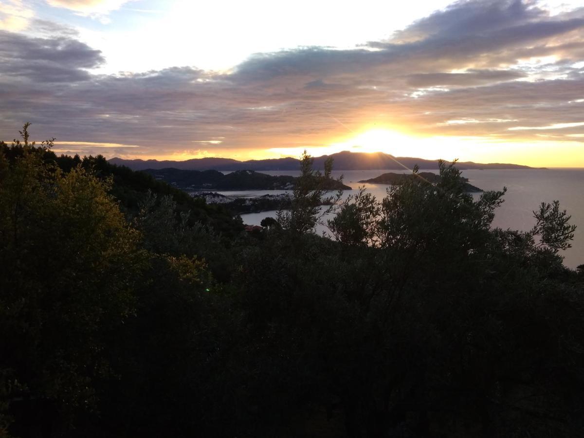 Axiothea * Vasilias (Skiathos)