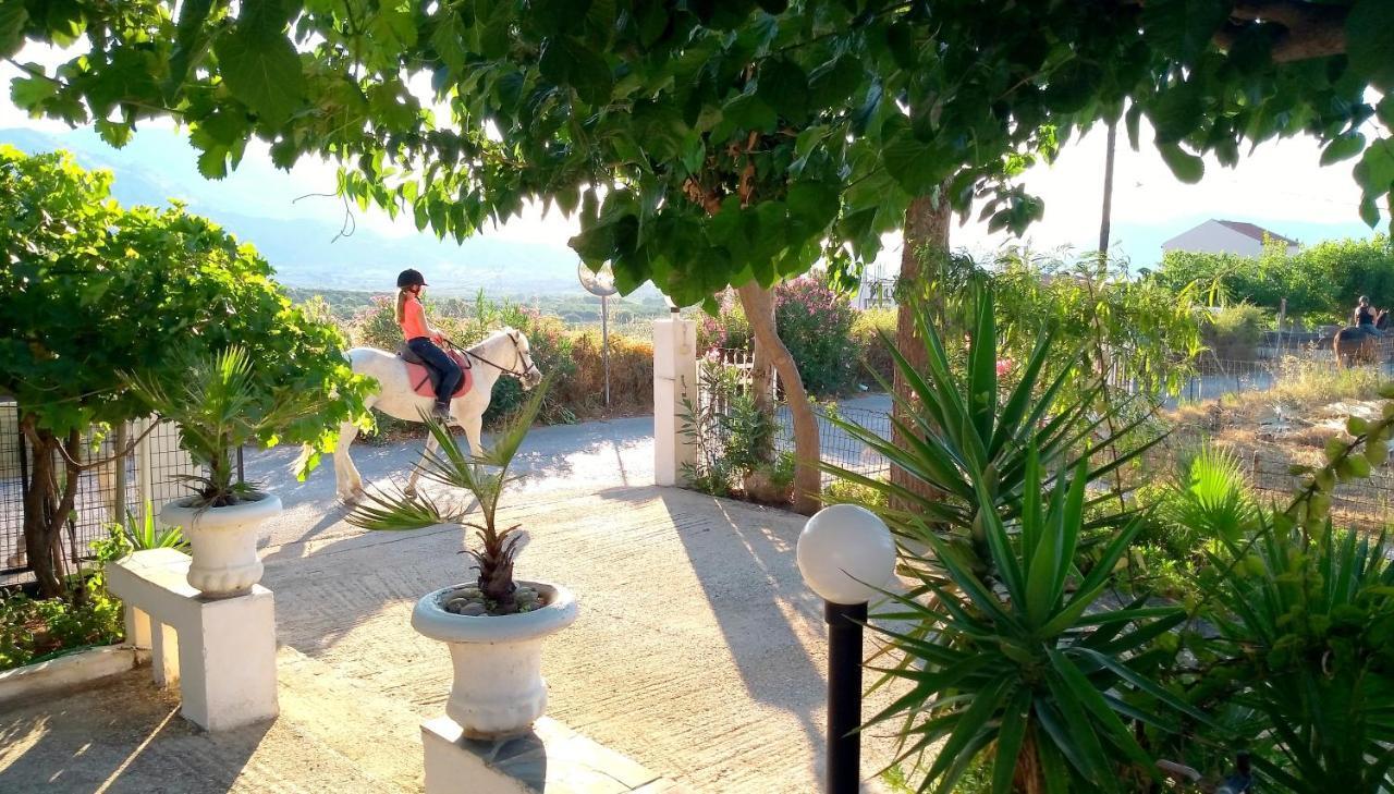 Christianna House -villa Holiday home Georgioupoli