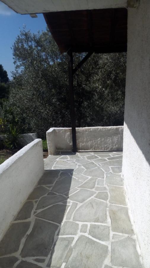 Apartment Anemos *