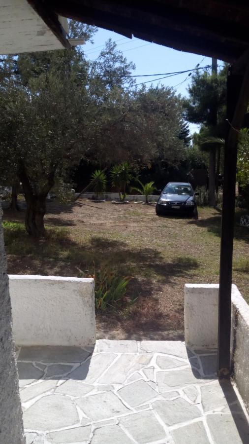 Anemos * Vasilias (Skiathos)