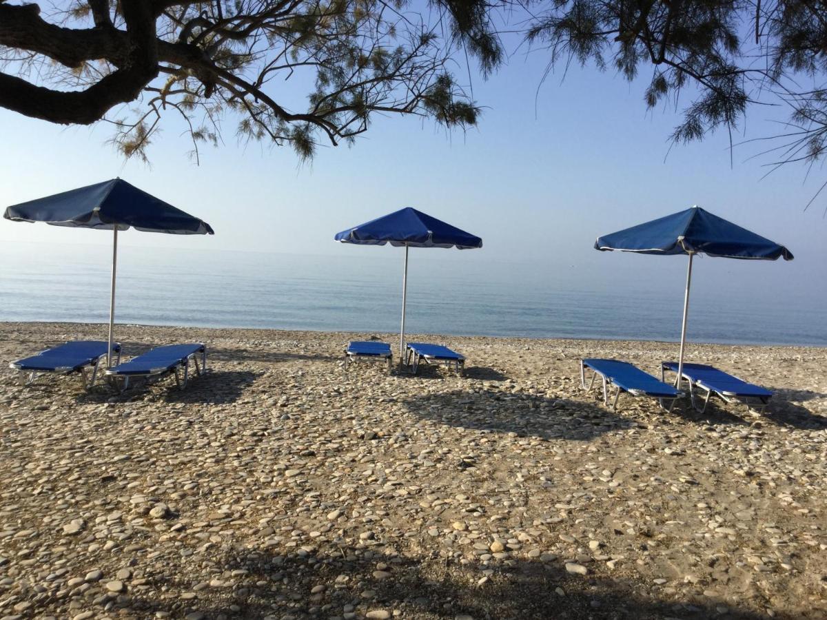Maritsa Economy hotel *