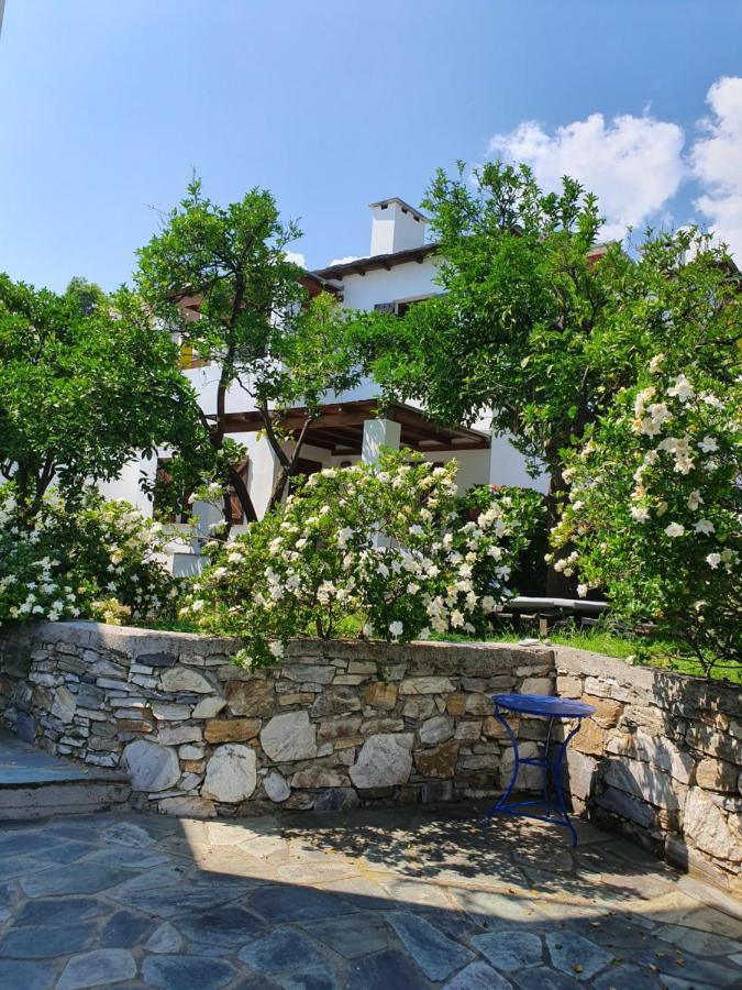 Aparthotel Aeolos & - Pelion Chorefton