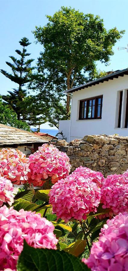 Aeolos & - Pelion Aparthotel Chorefton
