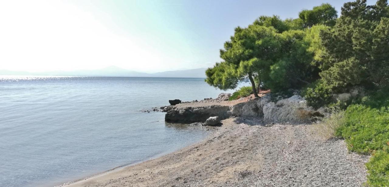 Oikonomou Luxury Villa