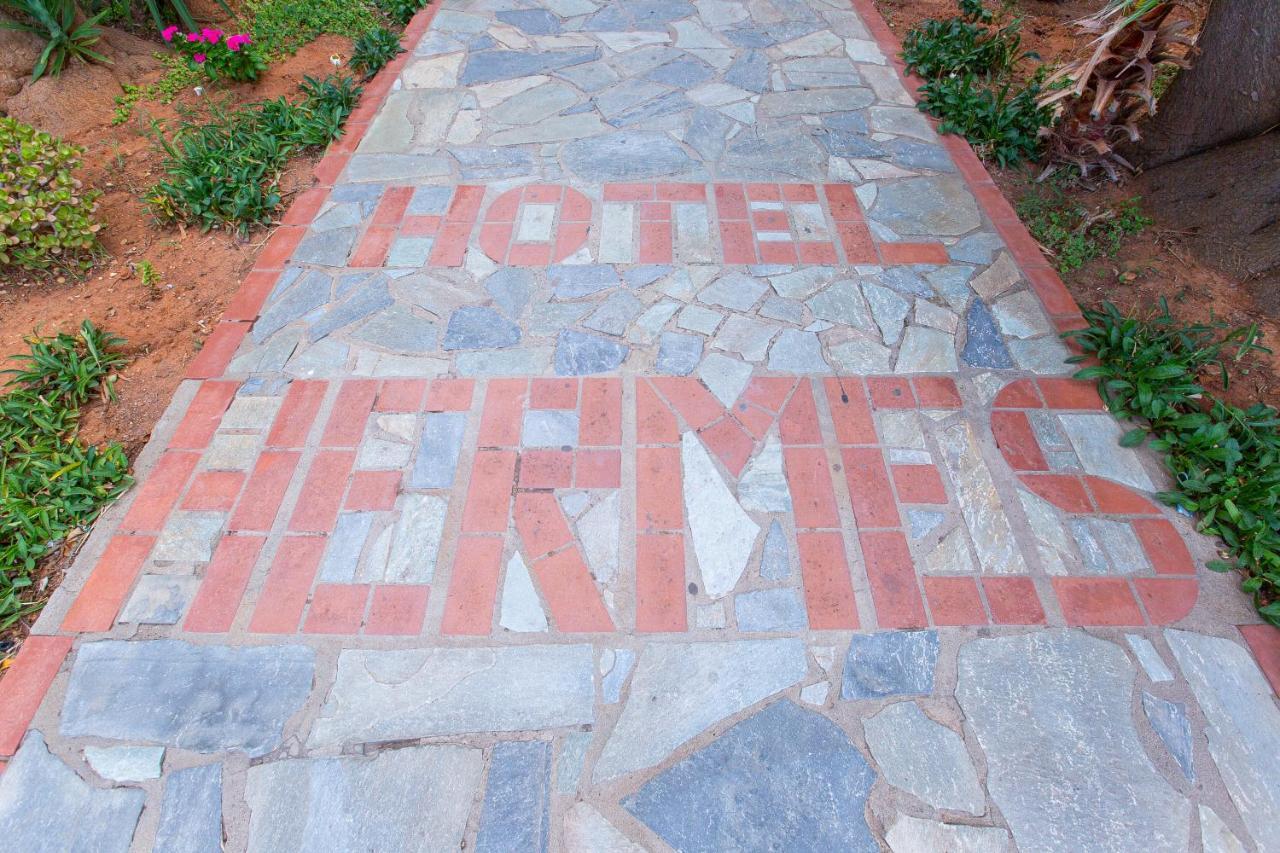 Hermes Apartment Malia (Crete)