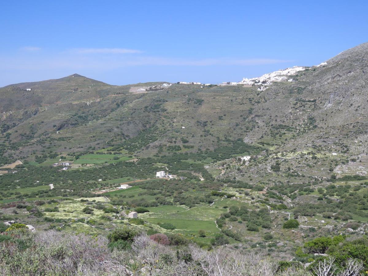 Kaminaki Amorgos * Ormos Aigialis