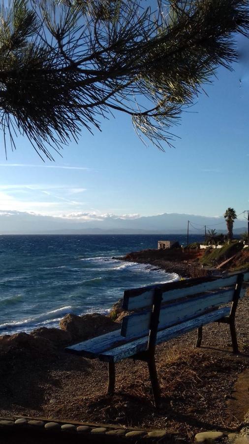 Ammos Luxury 3*