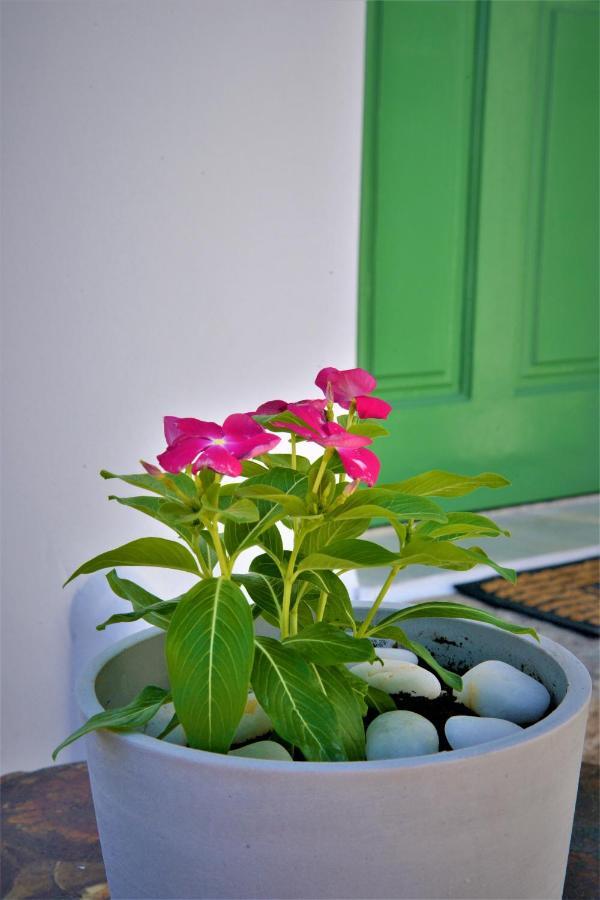 Guest house Dioni Lux Pachaina