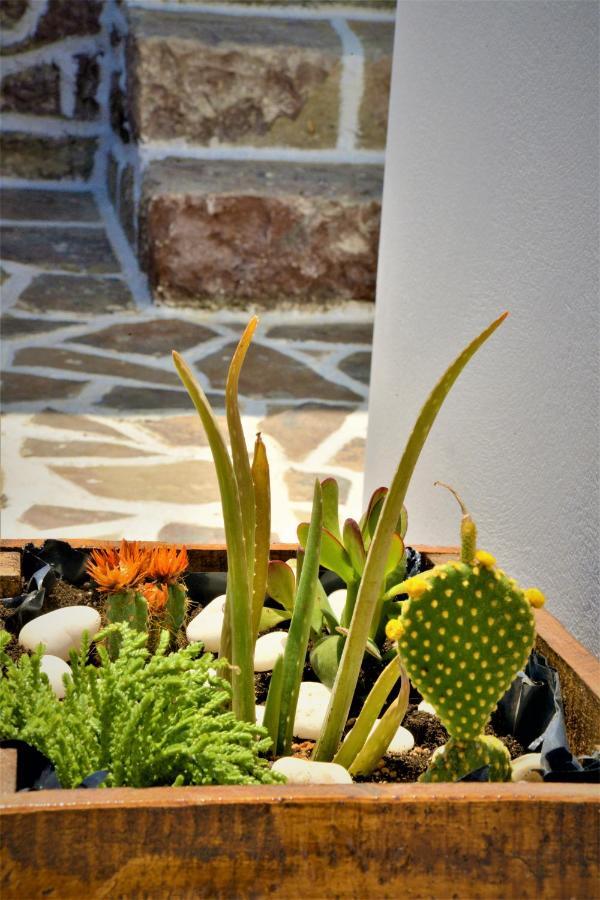 Dioni Lux Guest house