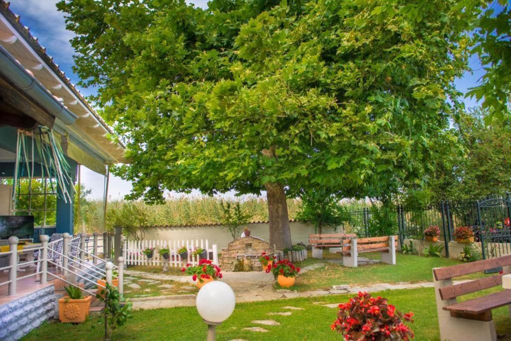 Seaside Paralia Katerinis